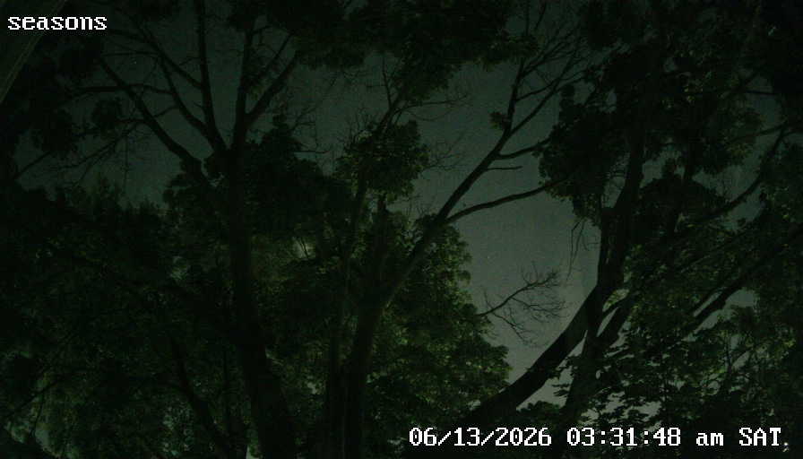Latest plant camera frame